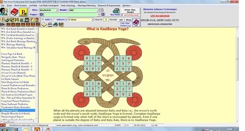 red astro professional Dasha System